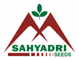 sahyadri seeds